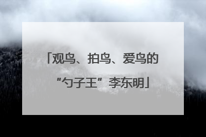 观鸟、拍鸟、爱鸟的“勺子王”李东明