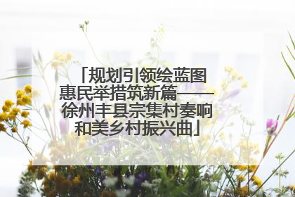规划引领绘蓝图 惠民举措筑新篇——徐州丰县宗集村奏响和美乡村振兴曲