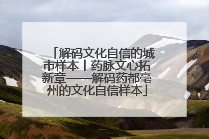 解码文化自信的城市样本丨药脉文心拓新章——解码药都亳州的文化自信样本