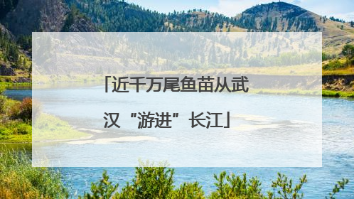 近千万尾鱼苗从武汉“游进”长江