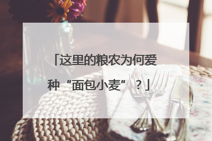 这里的粮农为何爱种“面包小麦”？