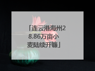 连云港海州28.86万亩小麦陆续开镰