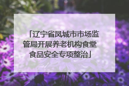 辽宁省凤城市市场监管局开展养老机构食堂食品安全专项整治