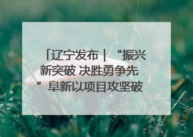 辽宁发布｜“振兴新突破 决胜勇争先”阜新以项目攻坚破解发展瓶颈 经济发展实现良好开局