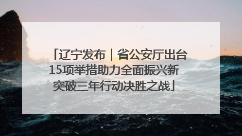 辽宁发布｜省公安厅出台15项举措助力全面振兴新突破三年行动决胜之战