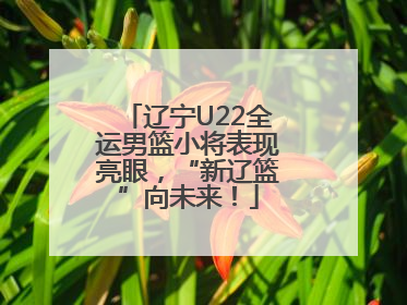 辽宁U22全运男篮小将表现亮眼，“新辽篮”向未来！