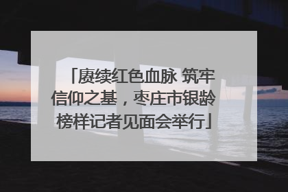赓续红色血脉 筑牢信仰之基，枣庄市银龄榜样记者见面会举行