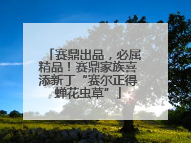 赛鼎出品，必属精品！赛鼎家族喜添新丁“赛尔正得蝉花虫草”