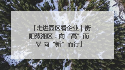 走进园区看企业｜衡阳蒸湘区：向“高”而攀 向“新”而行