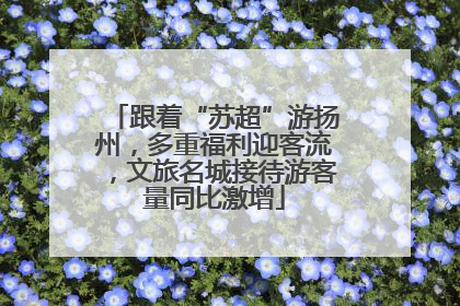 跟着“苏超”游扬州，多重福利迎客流，文旅名城接待游客量同比激增
