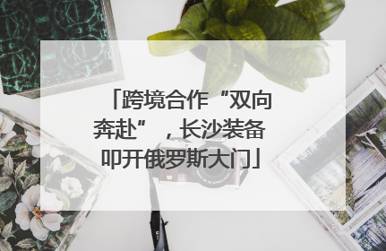 跨境合作“双向奔赴”，长沙装备叩开俄罗斯大门