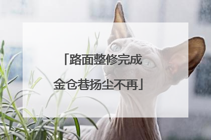 路面整修完成 金仓巷扬尘不再