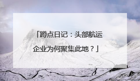 蹲点日记：头部航运企业为何聚集此地？