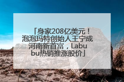 身家208亿美元！泡泡玛特创始人王宁成河南新首富，Labubu热销推涨股价