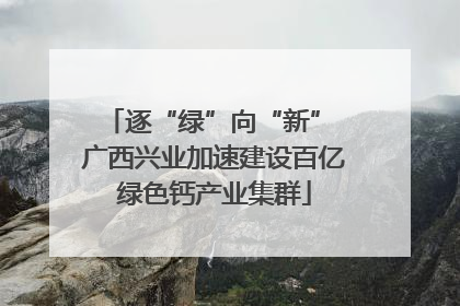 逐“绿”向“新” 广西兴业加速建设百亿绿色钙产业集群