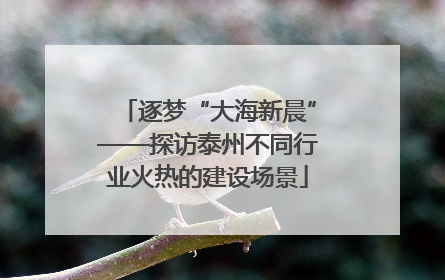 逐梦“大海新晨”——探访泰州不同行业火热的建设场景