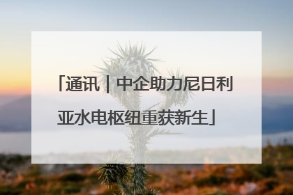 通讯｜中企助力尼日利亚水电枢纽重获新生