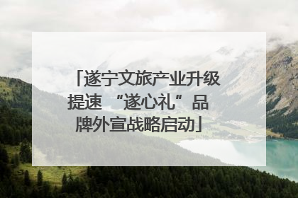 遂宁文旅产业升级提速 “遂心礼”品牌外宣战略启动