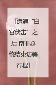遭遇“白宫伏击”之后 南非总统结束访美行程