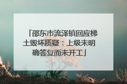 邵东市流泽镇回应梯土毁坏质疑：上级未明确答复而未开工