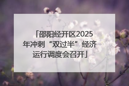 邵阳经开区2025年冲刺“双过半”经济运行调度会召开