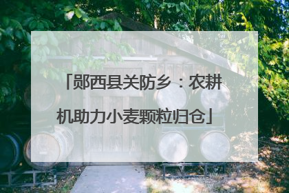 郧西县关防乡：农耕机助力小麦颗粒归仓