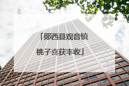 郧西县观音镇桃子喜获丰收