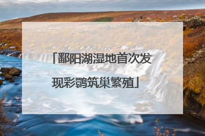 鄱阳湖湿地首次发现彩鹮筑巢繁殖