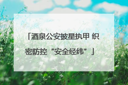 酒泉公安披星执甲 织密防控“安全经纬”