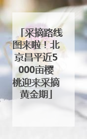 采摘路线图来啦！北京昌平近5000亩樱桃迎来采摘黄金期