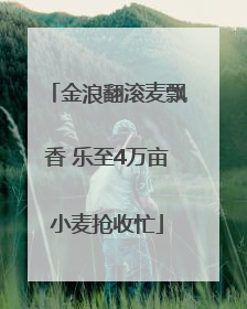 金浪翻滚麦飘香 乐至4万亩小麦抢收忙