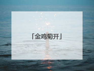 金鸡菊开
