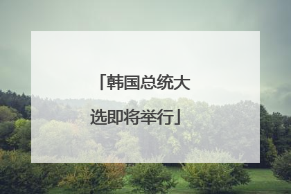 韩国总统大选即将举行