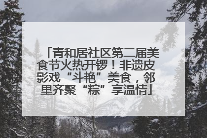 青和居社区第二届美食节火热开锣！非遗皮影戏“斗艳”美食，邻里齐聚“粽”享温情