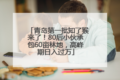 青岛第一批知了猴来了！80后小伙承包60亩林地，高峰期日入过万
