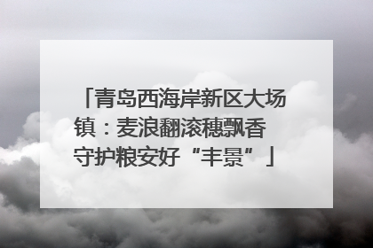 青岛西海岸新区大场镇：麦浪翻滚穗飘香 守护粮安好“丰景”