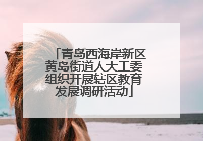 青岛西海岸新区黄岛街道人大工委组织开展辖区教育发展调研活动