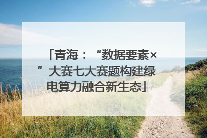青海：“数据要素×”大赛七大赛题构建绿电算力融合新生态