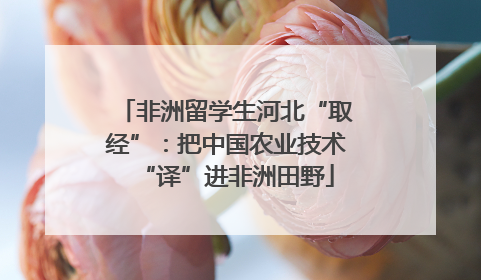 非洲留学生河北“取经”：把中国农业技术“译”进非洲田野
