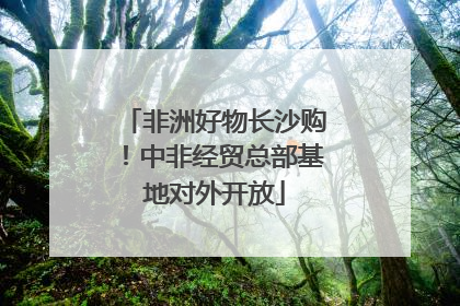 非洲好物长沙购！中非经贸总部基地对外开放