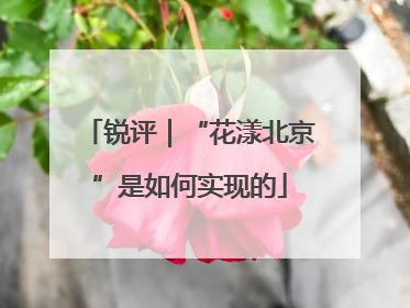 锐评｜“花漾北京”是如何实现的