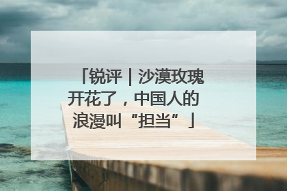锐评｜沙漠玫瑰开花了，中国人的浪漫叫“担当”