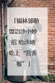 锡林郭勒盟治沙小妙招 给沙地吃上“营养餐”