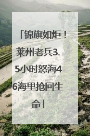 锦旗如炬！莱州老兵3.5小时怒海46海里抢回生命