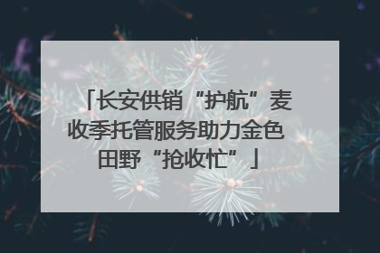 长安供销“护航”麦收季托管服务助力金色田野“抢收忙”