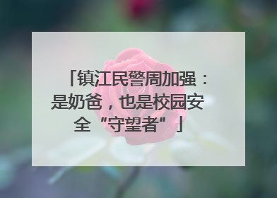 镇江民警周加强：是奶爸，也是校园安全“守望者”