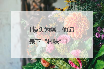 镜头为媒，他记录下“村味”