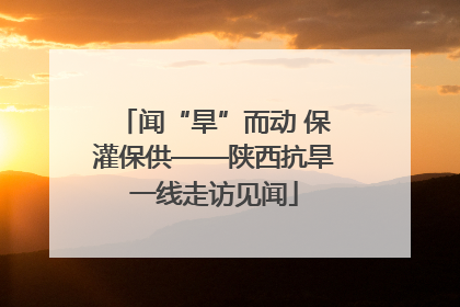 闻“旱”而动 保灌保供——陕西抗旱一线走访见闻