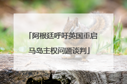 阿根廷呼吁英国重启马岛主权问题谈判