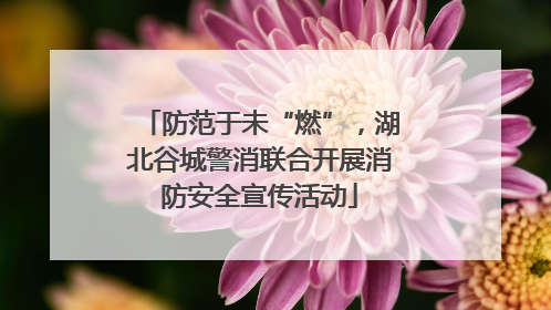 防范于未“燃”，湖北谷城警消联合开展消防安全宣传活动